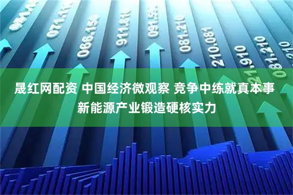 晟红网配资 中国经济微观察 竞争中练就真本事 新能源产业锻造硬核实力