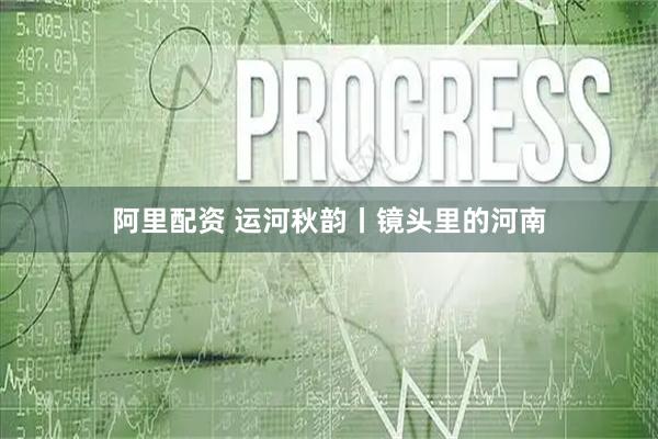 阿里配资 运河秋韵丨镜头里的河南
