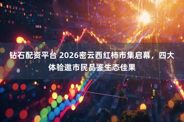 钻石配资平台 2026密云西红柿市集启幕，四大体验邀市民品鉴生态佳果