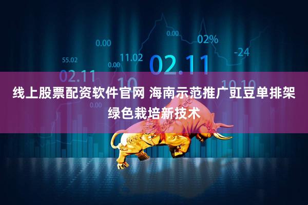 线上股票配资软件官网 海南示范推广豇豆单排架绿色栽培新技术