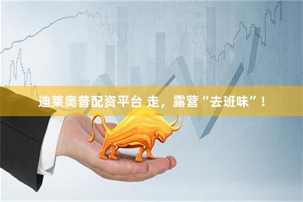 迪莱奥普配资平台 走，露营“去班味”！